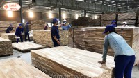 The US-China trade war has a strong impact on the Vietnamese wood industry Nam